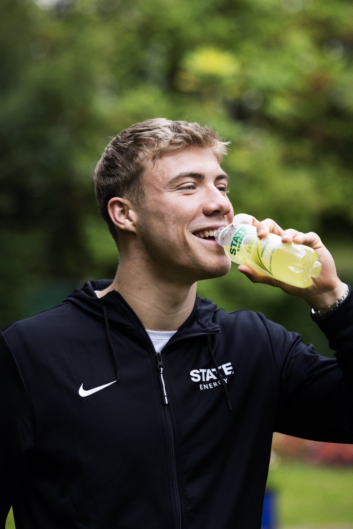 Pineapple Zero - 12 stk.